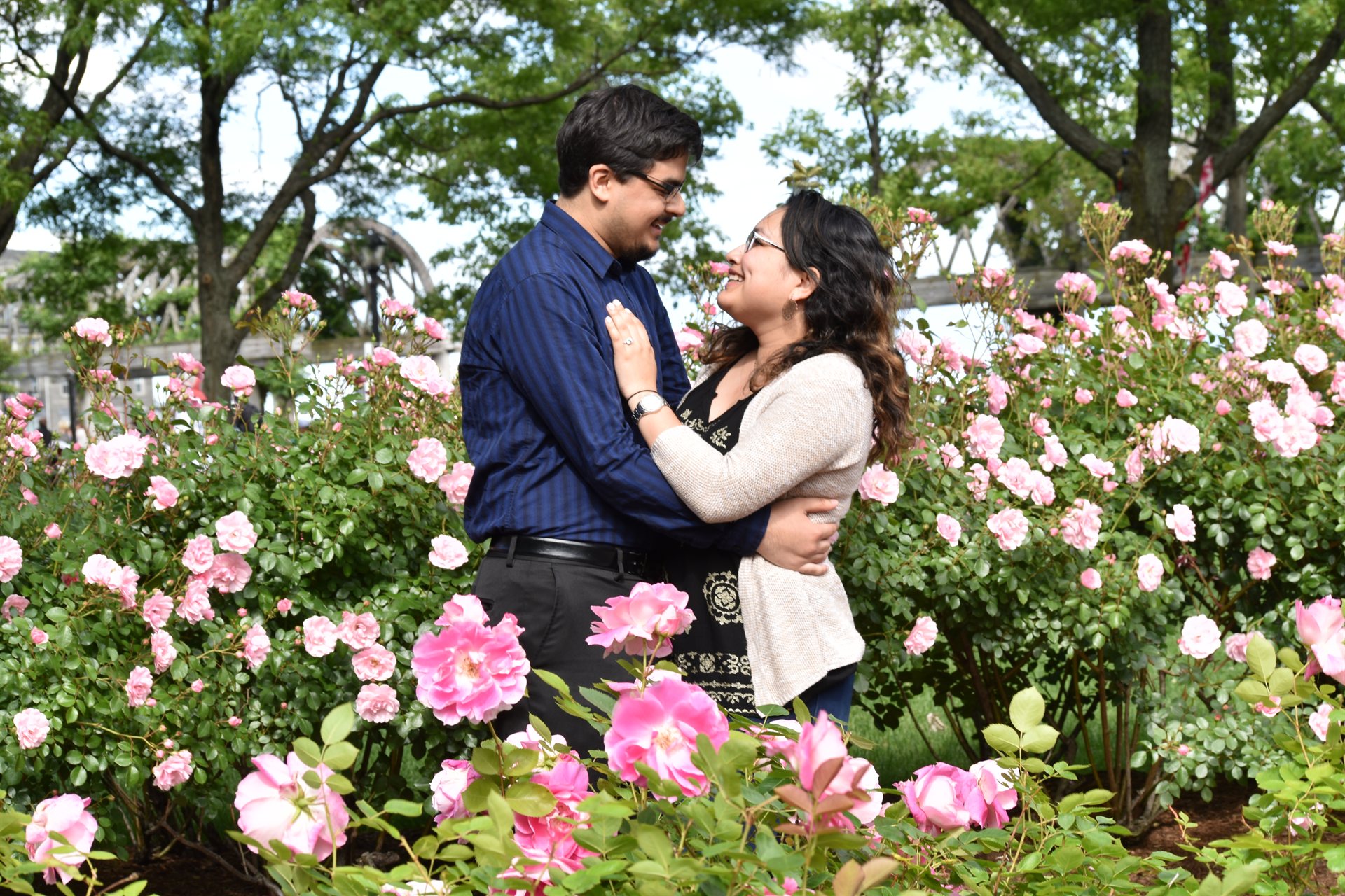 Couple in rose garden